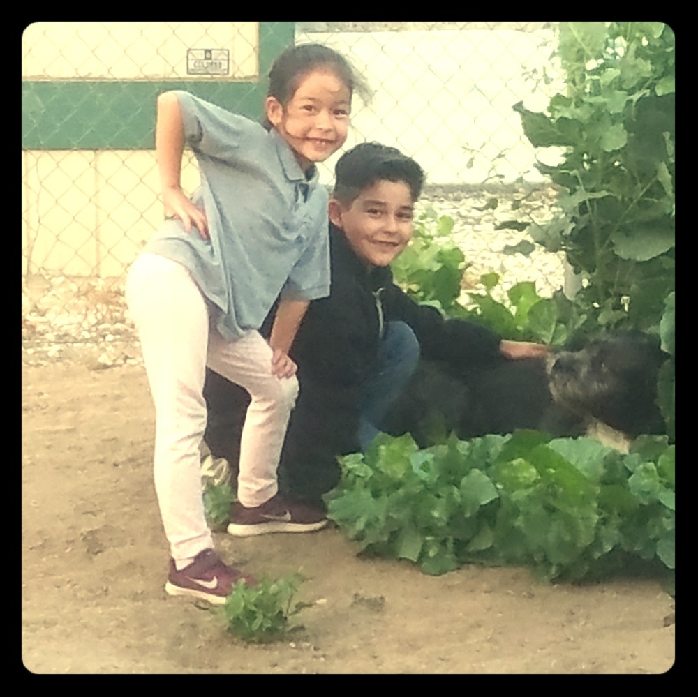 Meet your Posher, Elva